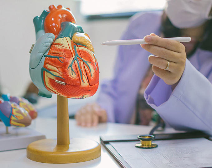 Ответ на диуретики при ХСН: какое влияние оказывают вазодилататоры?