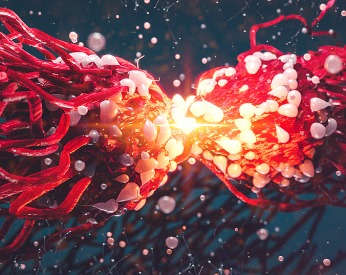 Иммуноопосредованные заболевания и риск ССЗ