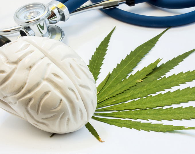 Когнитивный вред от длительного употребления марихуаны