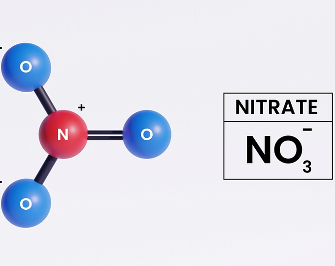 Неорганические нитраты в лечении пациентов с ХСНсФВ