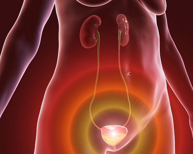 Поведенческая терапия у пациентов с гиперактивным мочевым пузырем и болезнью Паркинсона