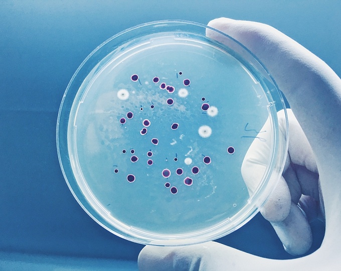 Спящие бактерии как ключ к пониманию антибиотикорезистентности 