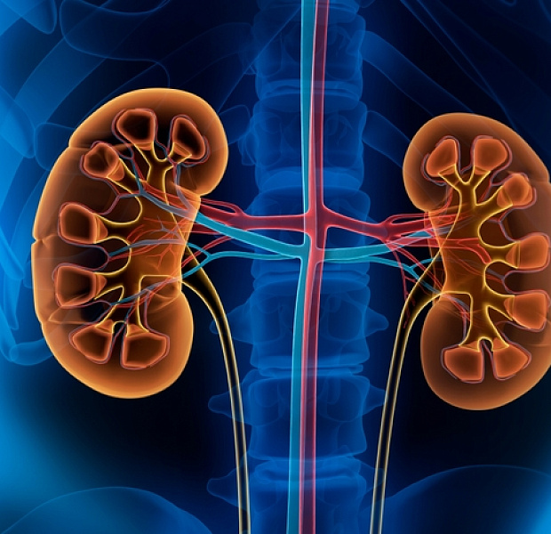 Выбор оптимального противодиабетического препарата у пациентов с диабетической почечной болезнью