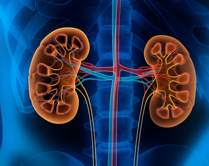 Выбор оптимального противодиабетического препарата у пациентов с диабетической почечной болезнью