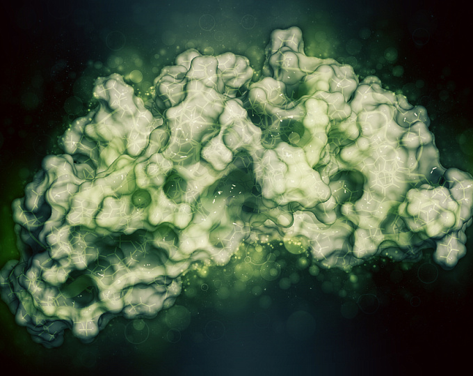 Костный морфогенетический белок 10 – новый фактор риска инсульта у пациентов с ФП?