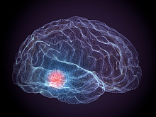 Влияние статинотерапии на когнитивные и моторные симптомы у пациентов с болезнью Паркинсона