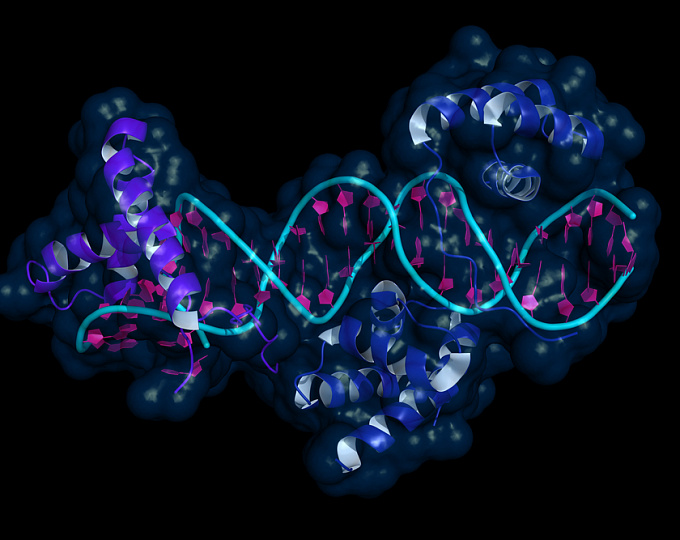 Попытка эпигенетической терапии сердечно-сосудистых заболеваний