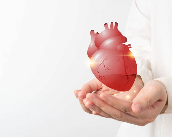 Стоит ли отменять антикоагулянты во время транскатетерной замены аортального клапана?