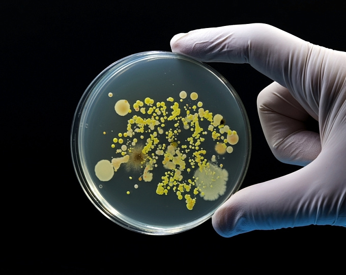 Какое влияние оказывает терапия рифампицином в высокой дозы на выживаемость у пациентов с туберкулезным менингитом?