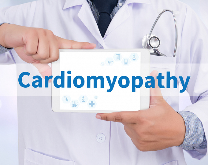 Фенотипы дилатационной кардиомиопатии