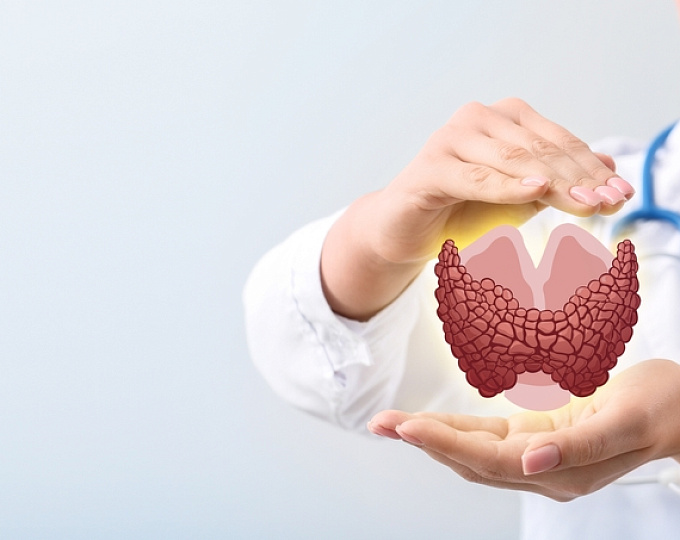 Как связаны нарушения функции щитовидной железы и деменция? 