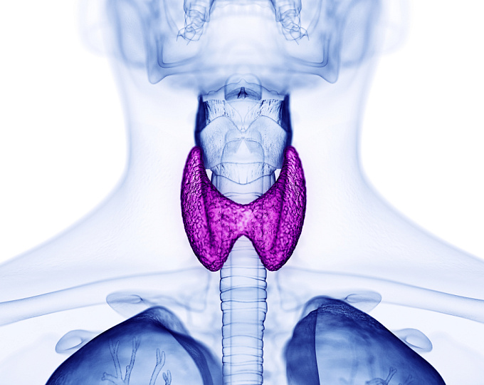 Естественное течение медуллярной микрокарциномы щитовидной железы