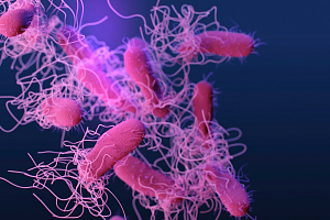 Энтерит, вызванный Salmonella, связан с более высоким риском острого повреждения почек