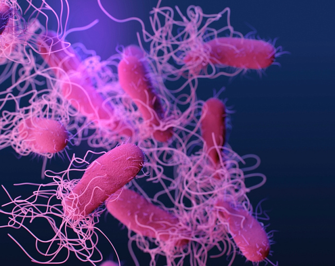 Энтерит, вызванный Salmonella, связан с более высоким риском острого повреждения почек
