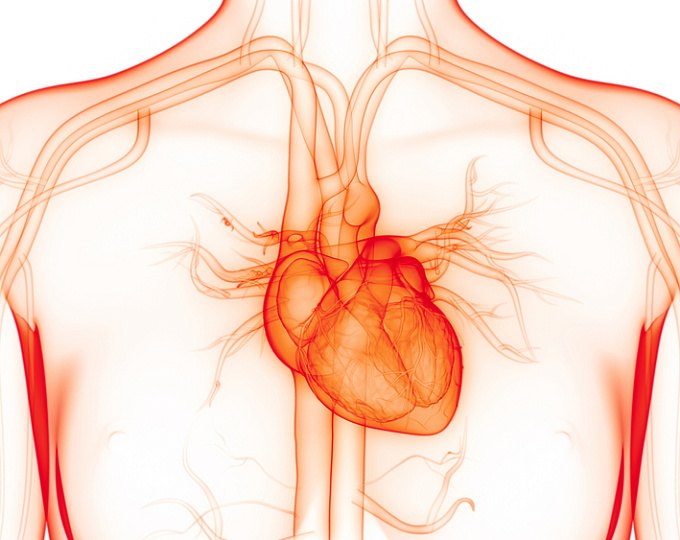 Как изменилась распространенность фибрилляции предсердий?