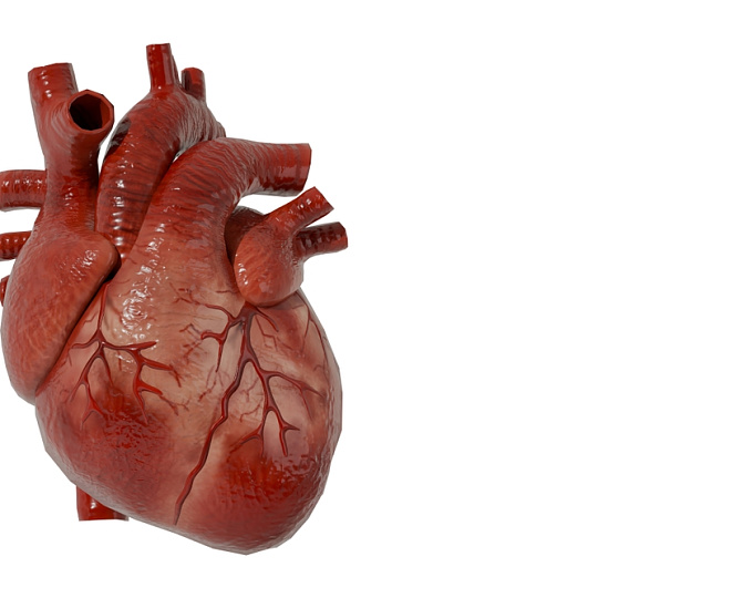 Сердечно-сосудистые факторы риска и риск развития гигантоклеточного артериита