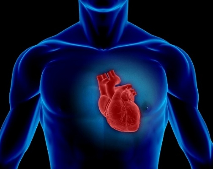 Ингибиторы ренин-ангиотензиновой системы у больных со стабильной ишемической болезнью сердца
