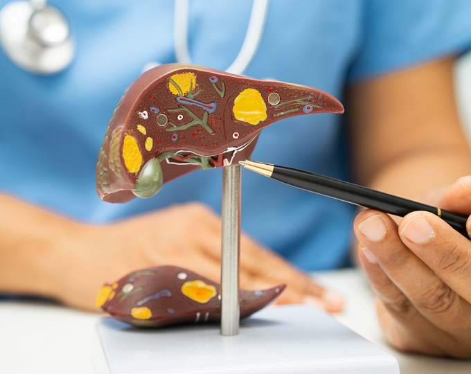 Неблагоприятные печеночные события у пациентов с циррозом печени