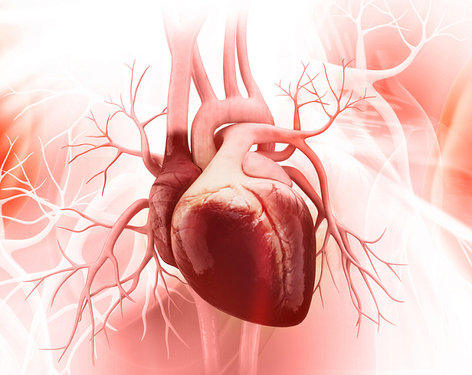 10 основных положений новых рекомендаций ESC по желудочковым нарушениям ритма сердца