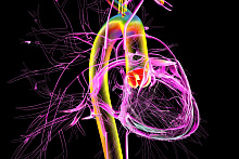Преимущества раннего хирургического вмешательства при асимптомном тяжелом аортальном стенозе