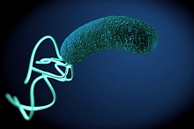 Какую схему эрадикации H. pylori выбрать при недавнем использовании макролидов? 