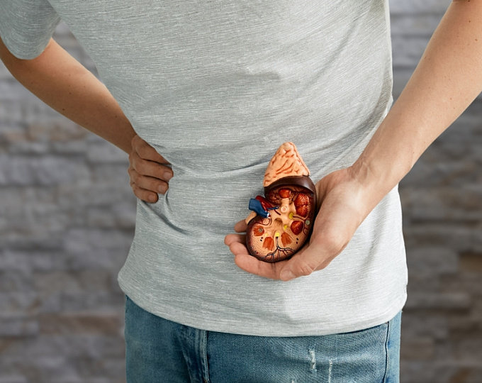 Функция почек у пациентов с первичным гиперальдостеронизмом