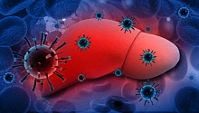 Препарат для лечения множественной миеломы повышает риск реактивации гепатита В