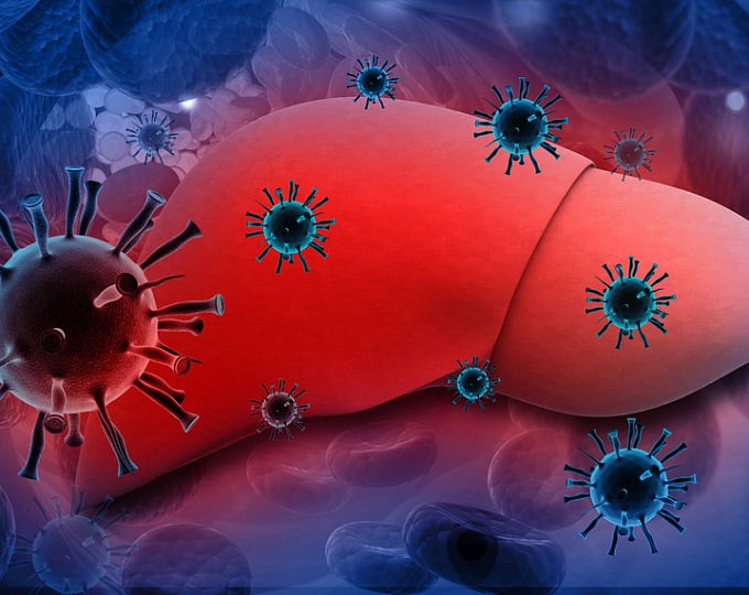 Препарат для лечения множественной миеломы повышает риск реактивации гепатита В