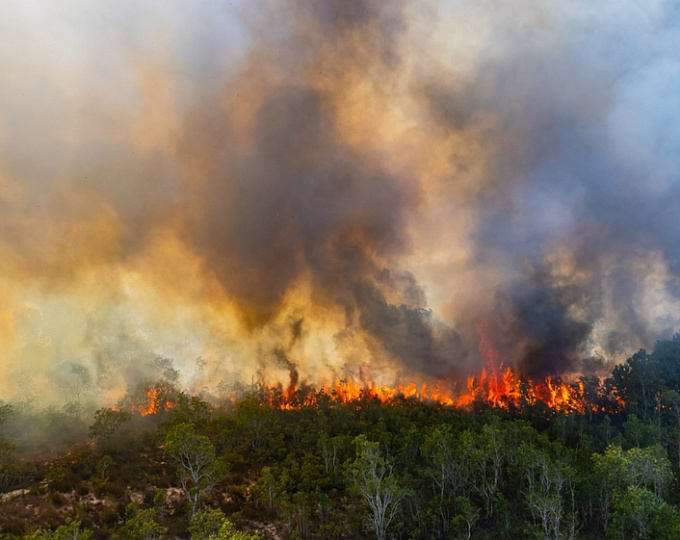 Пренатальное воздействие дыма от лесных пожаров как фактор риска расстройства аутистического спектра