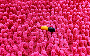Антидепрессанты СИОЗС и СИОЗСН ассоциированы с изменениями кишечного микробиома при депрессии