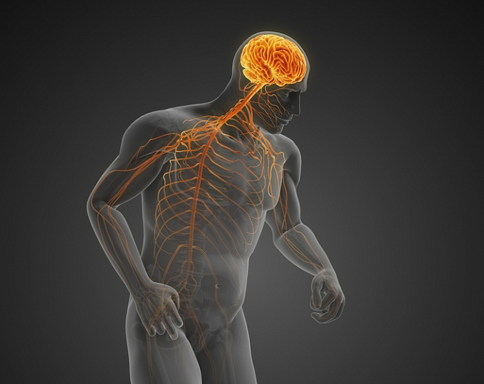 Эффективность леводопы в улучшении моторной функции после острого инсульта