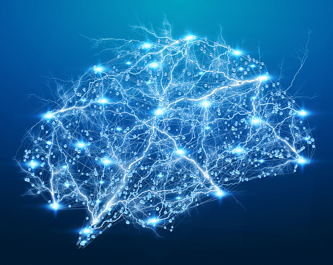 Ученые выяснили какие нарушения мозга ответственны за трудности в обучении 