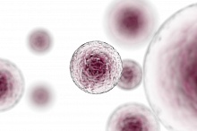 Клиники стволовых клеток подозревают в использовании опасных методов лечения 