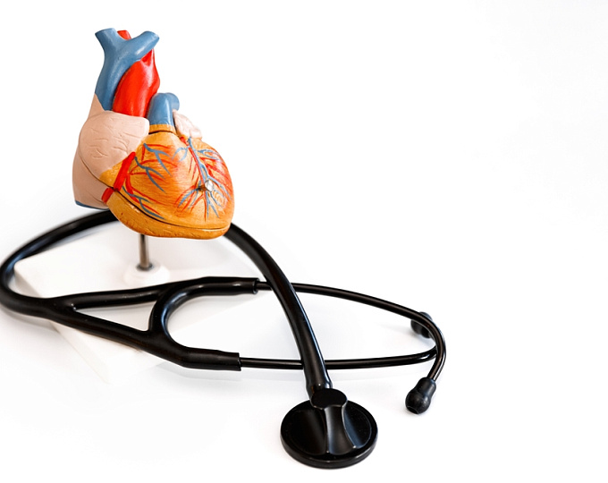 Результаты долгосрочного наблюдения за женщинами с перипартальной кардиомиопатией