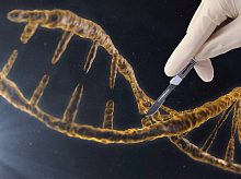На каком этапе находится коммерциализация генной терапии в Европе?