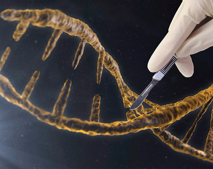 На каком этапе находится коммерциализация генной терапии в Европе?