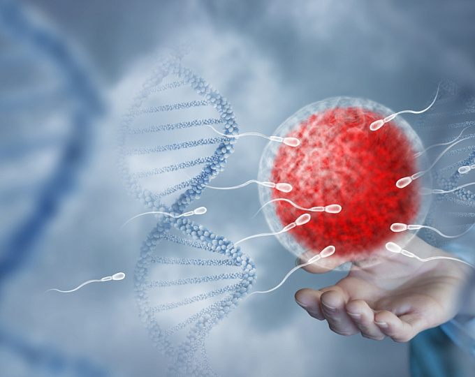 Антиоксидантная терапия мужского бесплодия