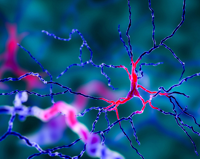 Может ли семаглутид снизить риск болезни Альцгеймера у пациентов с диабетом и ожирением?