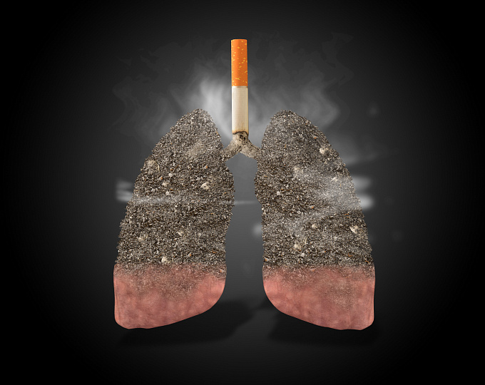 Ученые открыли свойство легких восстанавливаться после отказа от курения 