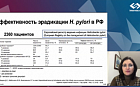 Современные тенденции терапии инфекции H.pylori
