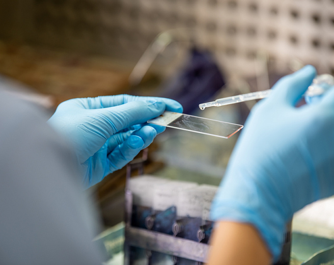 Сравнение первичной цитологии, первичного тестирования на ВПЧ и комбинированного тестирования при скрининге рака шейки матки