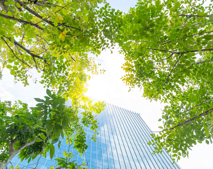 Социальные факторы и факторы внешней среды, играющие роль в развитии легкого когнитивного расстройства