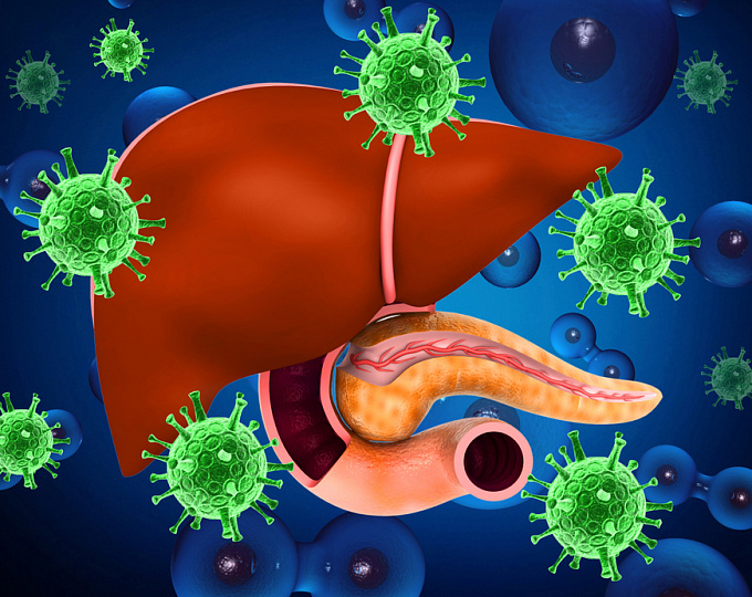 Риск развития гепатоцеллюлярной карциномы на фоне тенофовира и энтекавира у больных гепатитом В