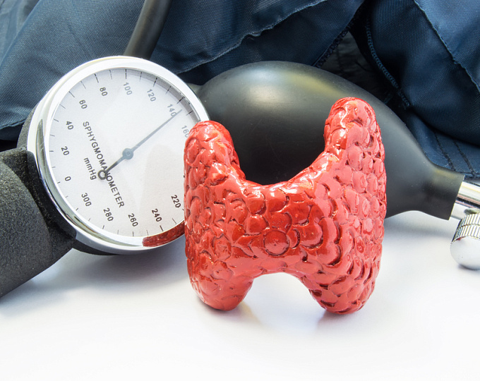 Дисфункция щитовидной железы и метаболический синдром: что причина, а что следствие?