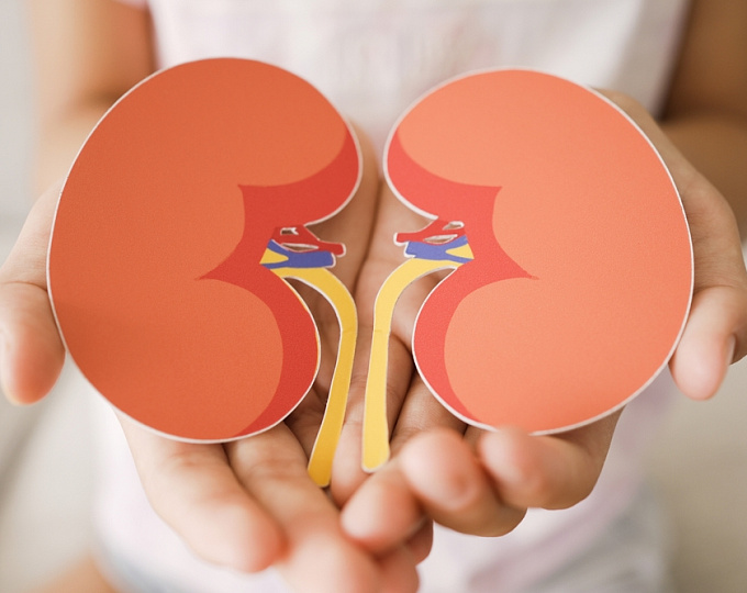 Отслойка плаценты и риск заболеваний почек у ребенка