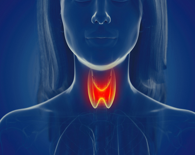 Канадские эксперты выступили против повсеместного скрининга на патологию щитовидной железы 