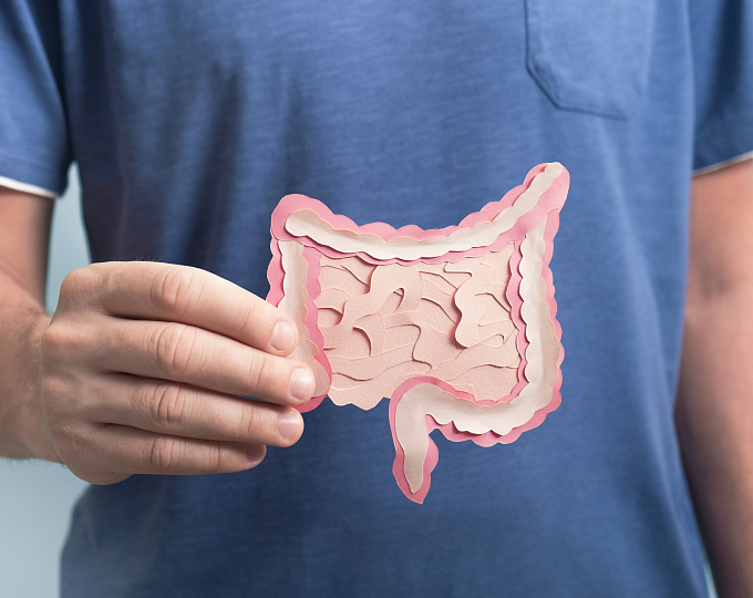 Культивируемый человеческий кишечный гриб Candida metapsilosis M2006B ослабляет симптоматику колита за счет секреции ациклических сесквитерпеноидов