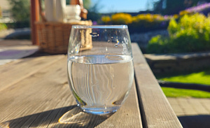 Камни в почках: можно ли предотвратить их развитие и рост употреблением большого количества воды?