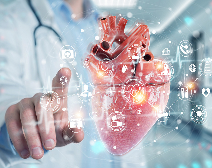 Желудочковые нарушения ритма при АДПЖ: можно ли их предугадать?