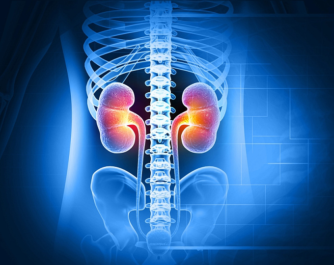 Оптимальный уровень гликированного гемоглобина у пациентов с тяжелой почечной болезнью и сахарным диабетом 2 типа